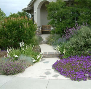 Low Maintenance Gardens